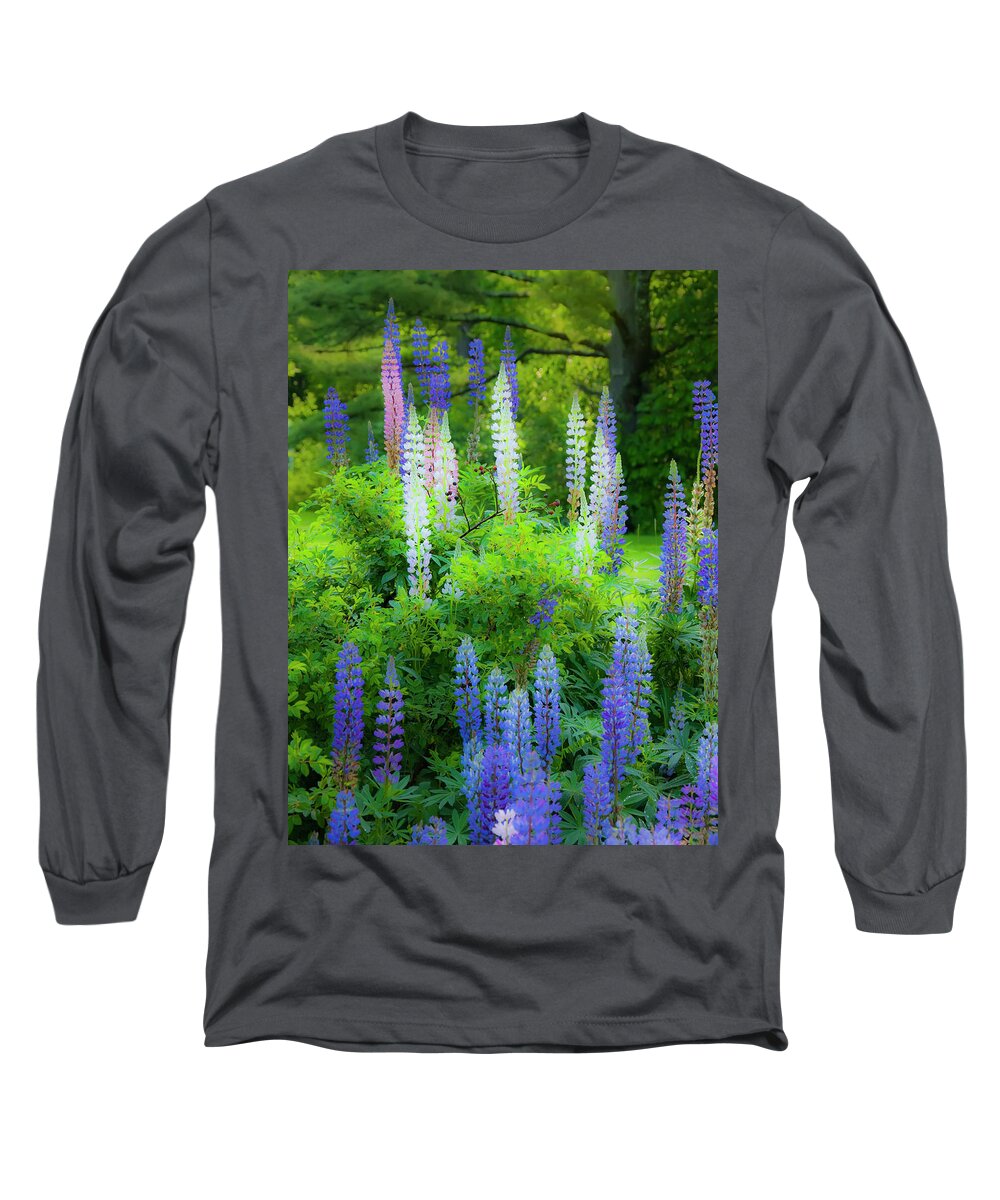 Lupines Long Sleeve T-Shirt featuring the photograph Woodland Fantasy by Jeff Cooper