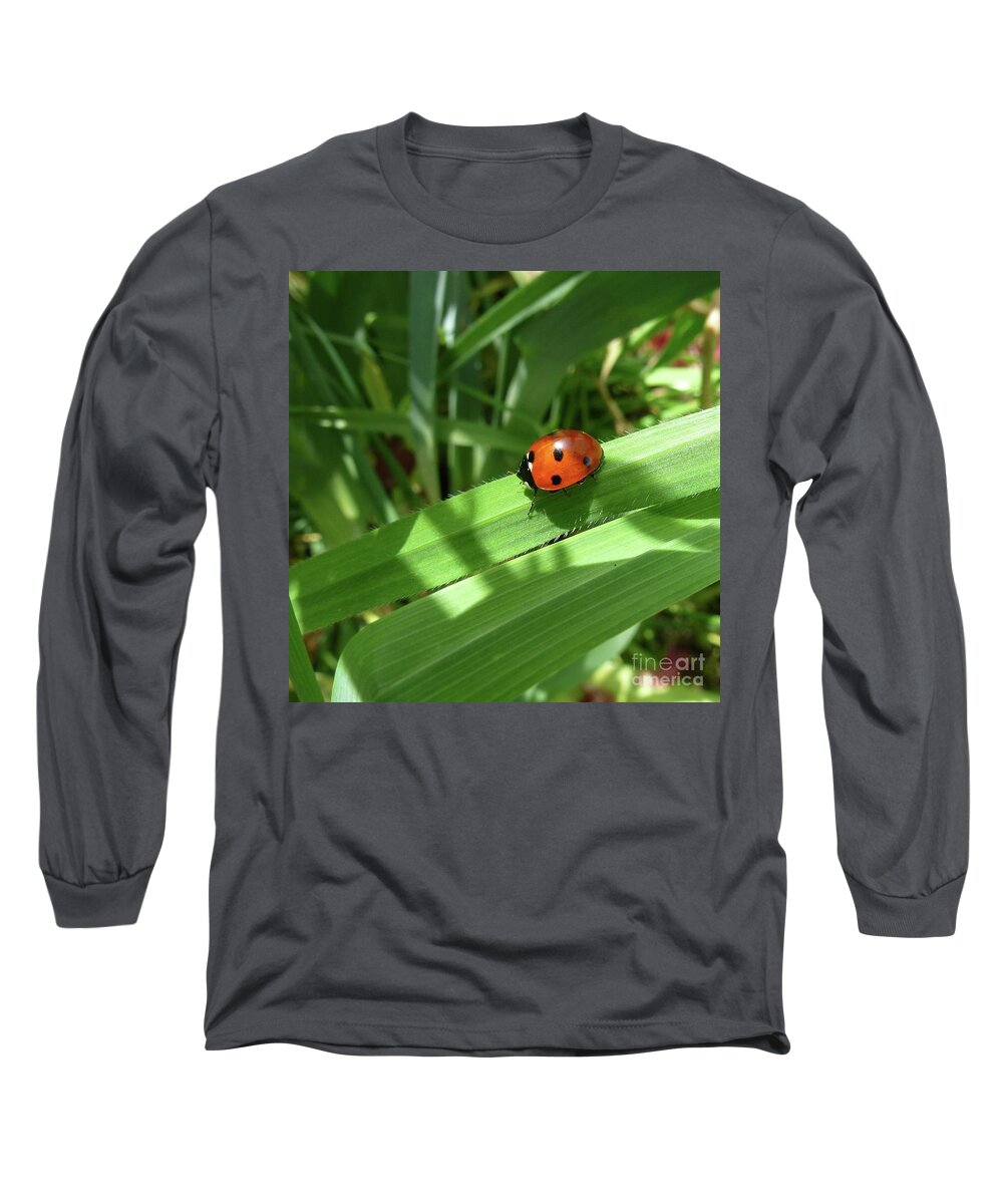 Abloom Long Sleeve T-Shirt featuring the photograph World of Ladybug 1 by Jean Bernard Roussilhe