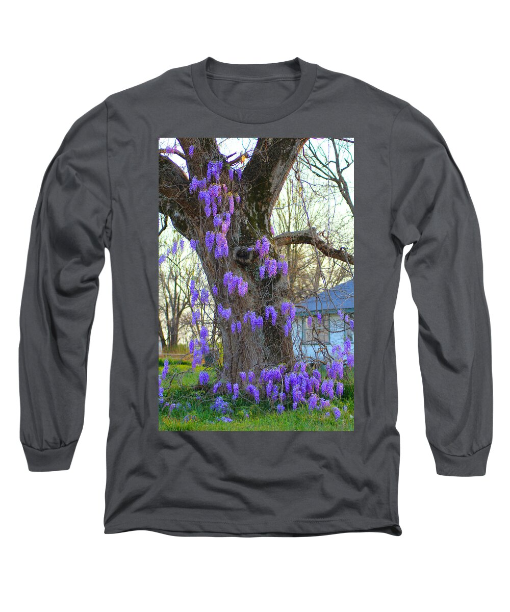 Wysteria Long Sleeve T-Shirt featuring the photograph Wysteria Tree by Karen Wagner