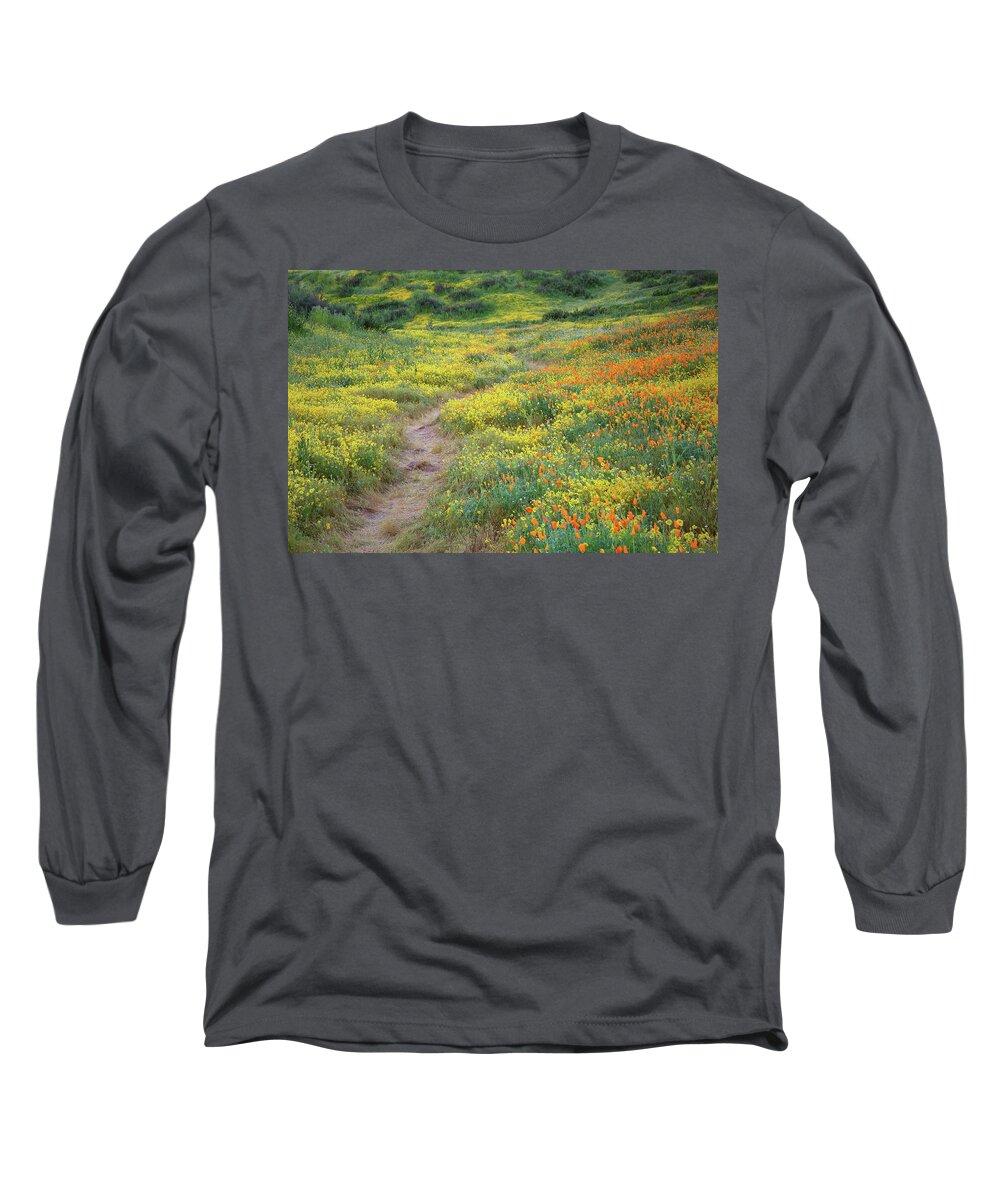 Wildflower Long Sleeve T-Shirt featuring the photograph Yellow and orange wildflowers along trail near Diamond Lake by Jetson Nguyen
