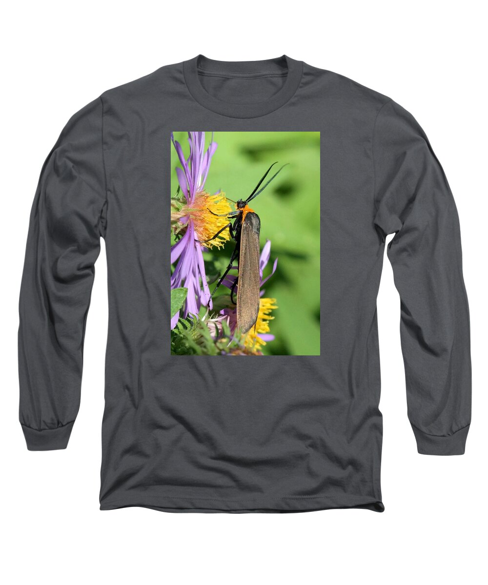 Yellow-collared Scape Moth Long Sleeve T-Shirt featuring the photograph Yellow-collared Scape Moth by Doris Potter