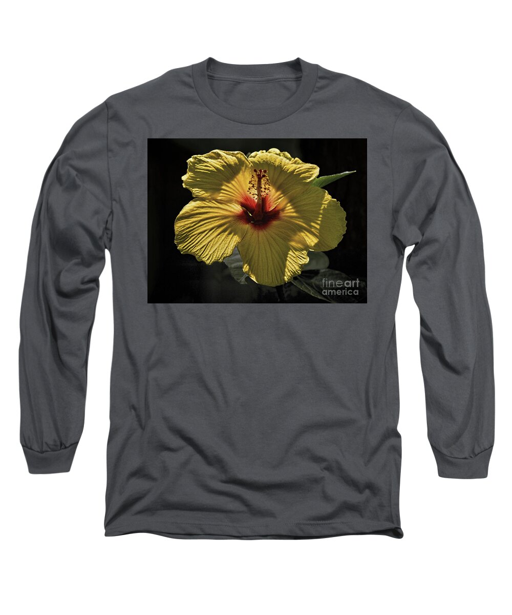 Hibiscus Long Sleeve T-Shirt featuring the photograph Yellow Hibiscus by Norman Gabitzsch