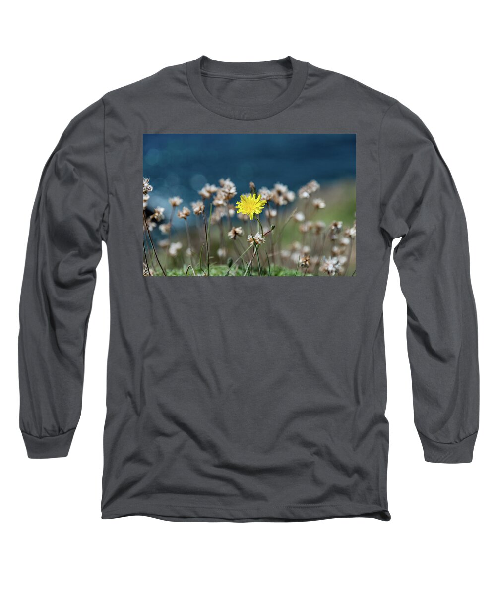 Yellow Flower Long Sleeve T-Shirt featuring the photograph Yellow by Martina Fagan