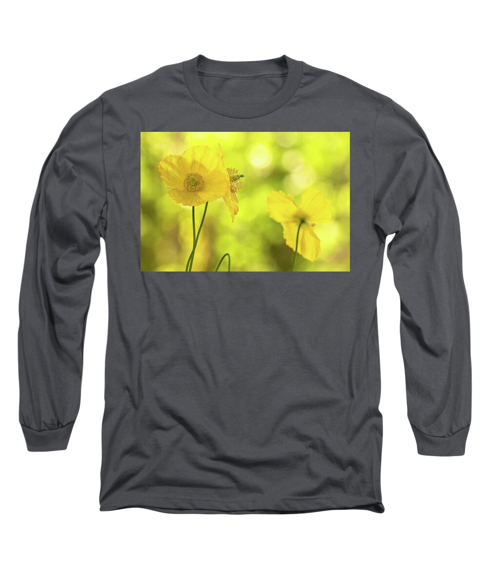 Poppies Long Sleeve T-Shirt featuring the photograph Yellow Poppies - California Poppy Flower by Peggy Collins