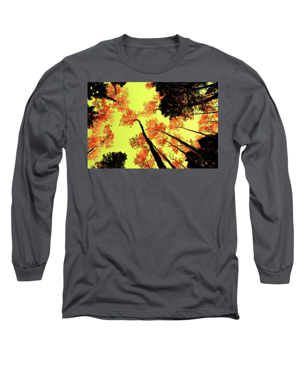 Foliage Long Sleeve T-Shirt featuring the photograph Yellow Sky, Burning Leaves by Kevin Munro