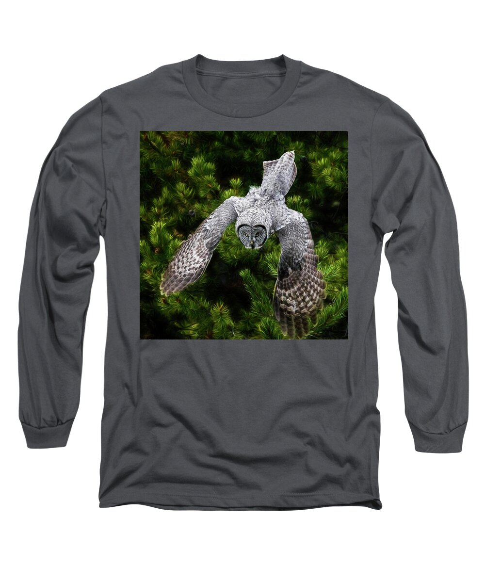 Yellowstone Great Grey Owl Long Sleeve T-Shirt featuring the photograph Yellowstone Great Grey Owl by Wes and Dotty Weber