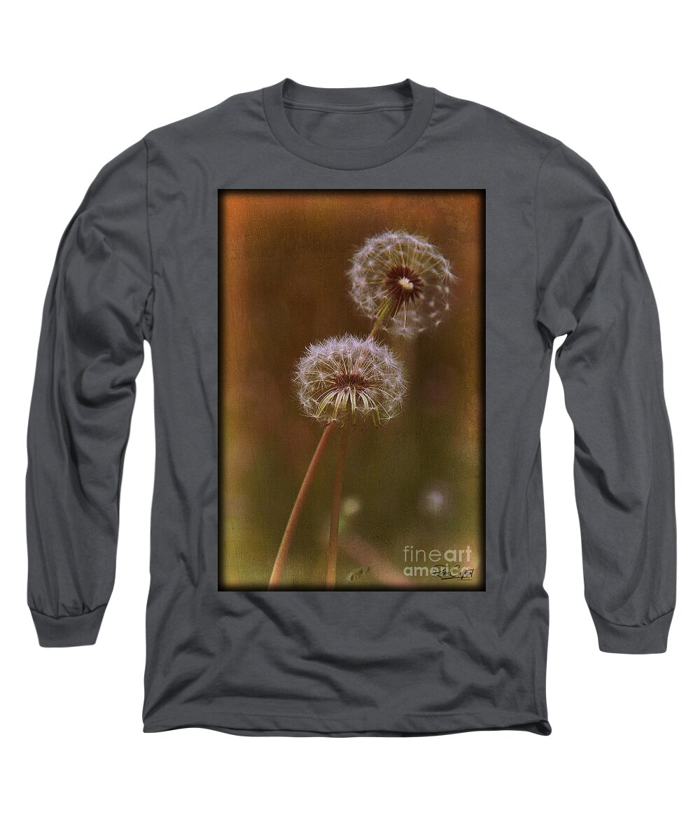 Dandelions Long Sleeve T-Shirt featuring the photograph You can always lean on me by Rene Crystal