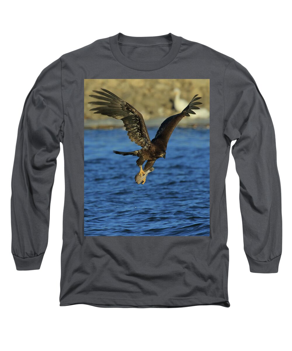 Eagle Long Sleeve T-Shirt featuring the photograph Young Bald Eagle with Fish by Coby Cooper