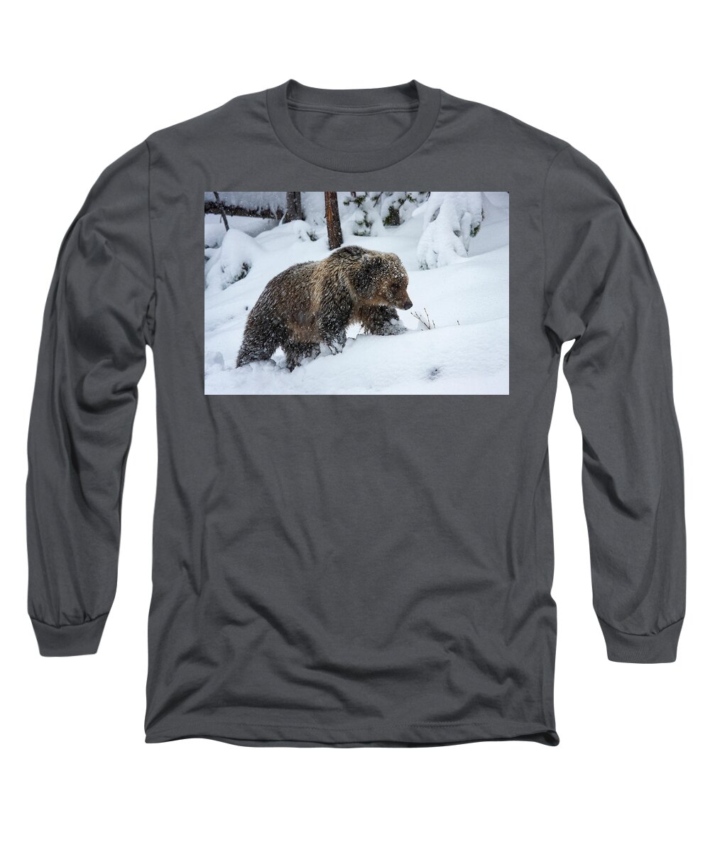 Mark Miller Photos Long Sleeve T-Shirt featuring the photograph Young Grizzly in Blizzard by Mark Miller