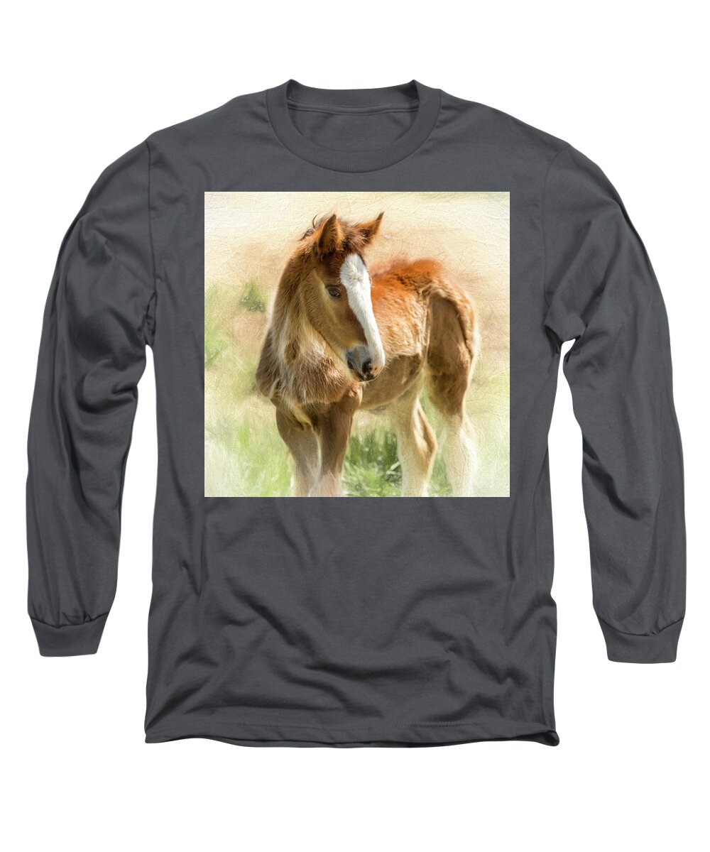 Animal Long Sleeve T-Shirt featuring the photograph Young Painted Clydesdale by Bill and Linda Tiepelman