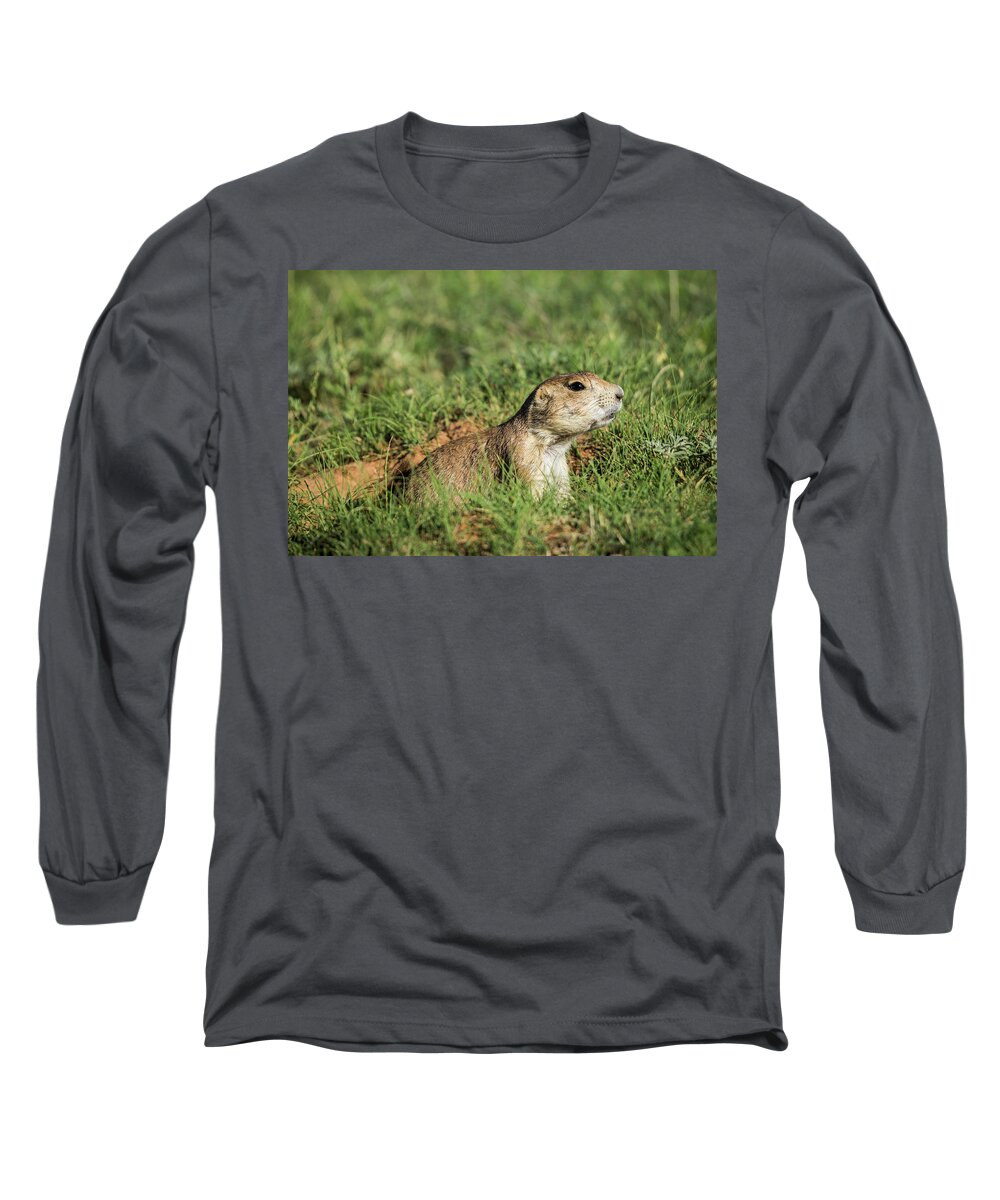 Prairie Dog Long Sleeve T-Shirt featuring the photograph Black-Tailed Prairie Dog #1 by Donald Pash