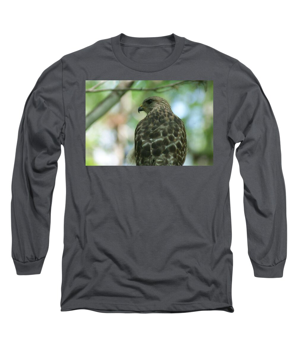 Florida Long Sleeve T-Shirt featuring the photograph Hawk Eye #1 by Lindsey Floyd