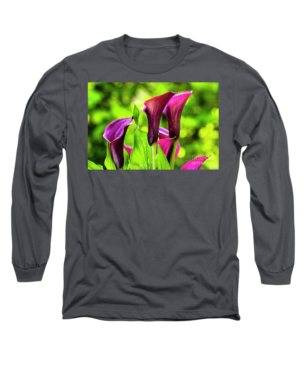 Araceae Long Sleeve T-Shirt featuring the photograph Purple Calla Lily Flower by Raul Rodriguez