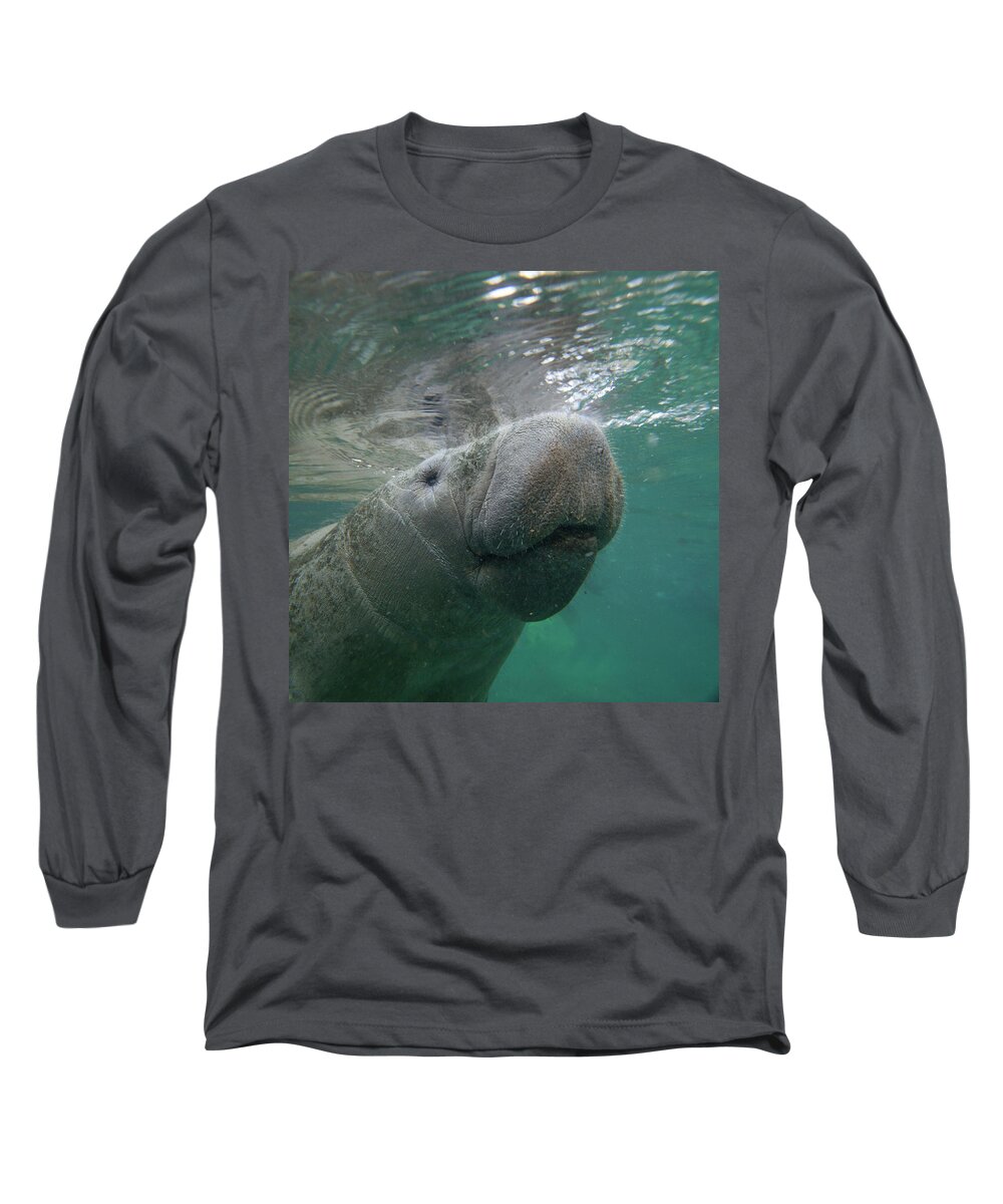 00544878 Long Sleeve T-Shirt featuring the photograph West Indiamanatee, Crystal River, Florida #1 by Tim Fitzharris
