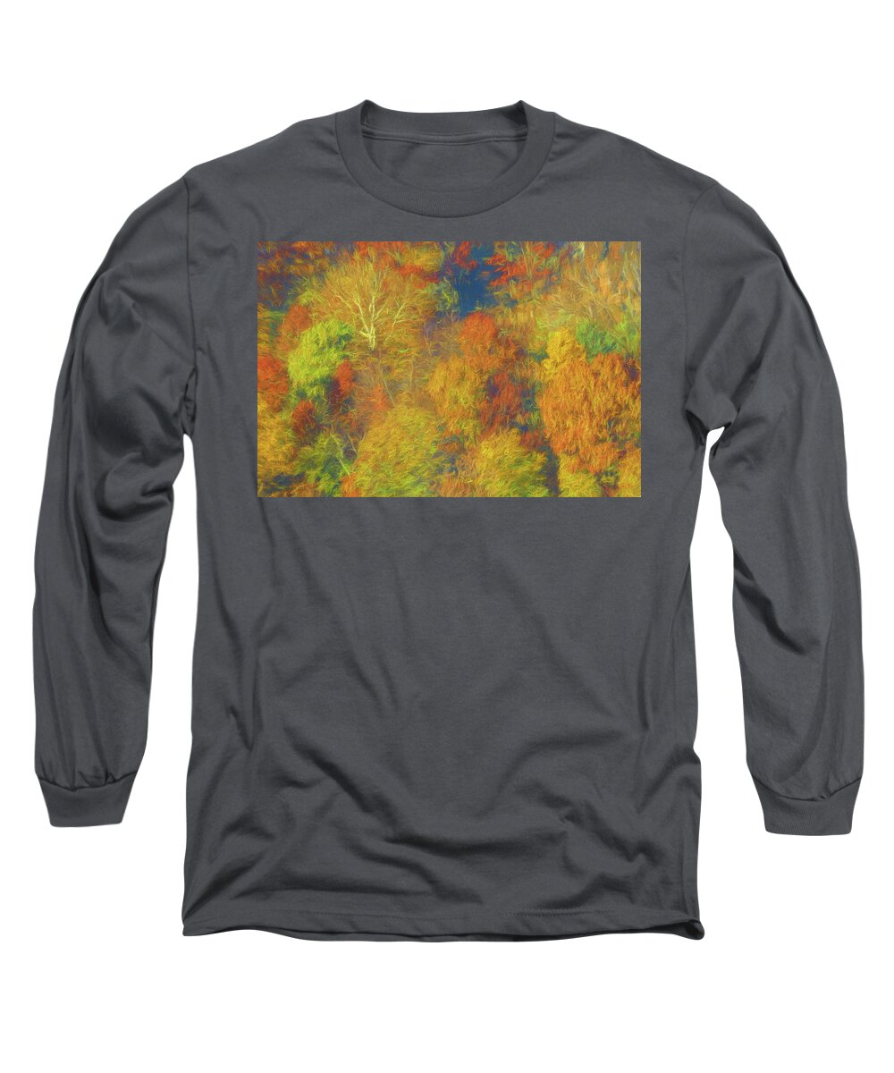 Autumn Long Sleeve T-Shirt featuring the photograph Autumn on Garret Mountain #2 by Alan Goldberg