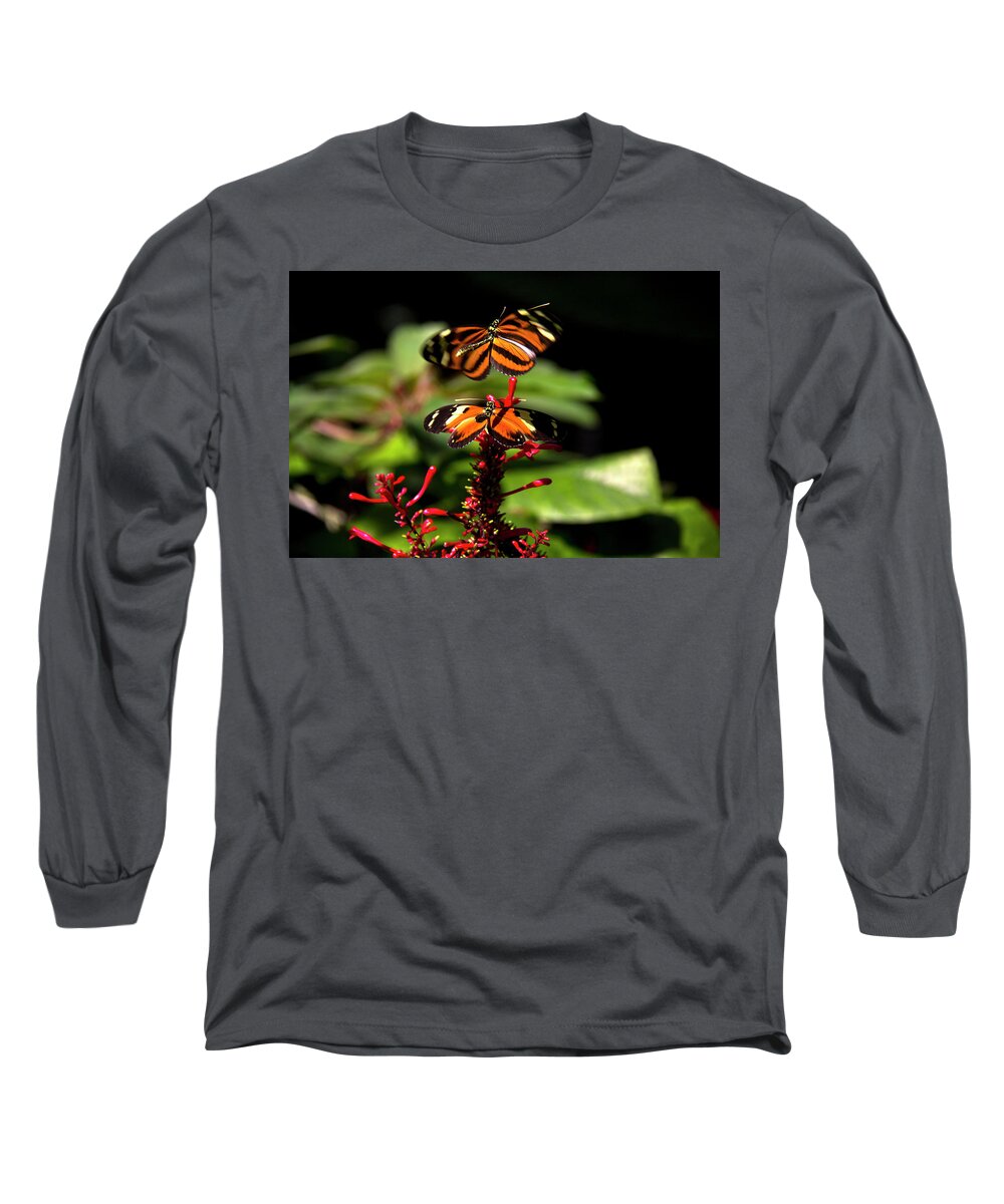 Butterfly Long Sleeve T-Shirt featuring the photograph Butterfly #3 by Richard Krebs