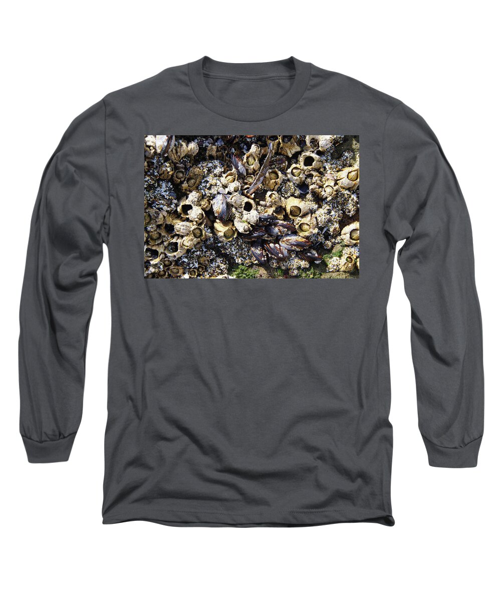 Coast Long Sleeve T-Shirt featuring the photograph Mussels And Barnacle #2 by Steve Estvanik