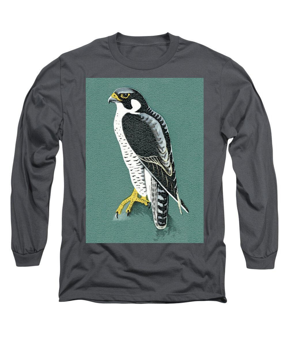 Animal Long Sleeve T-Shirt featuring the drawing Bird #20 by CSA Images