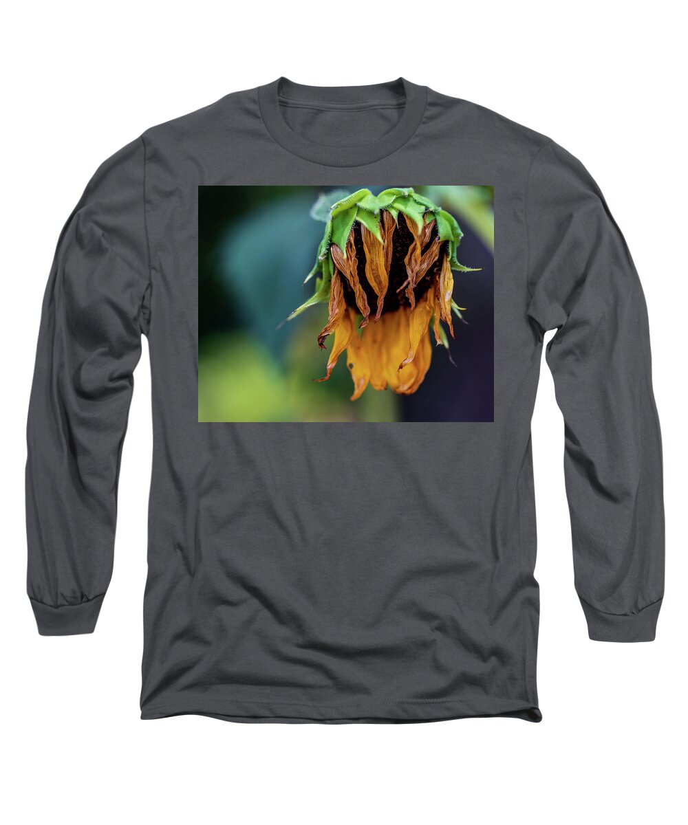 Arboretum Long Sleeve T-Shirt featuring the photograph Nature Photography Sunflower by Amelia Pearn