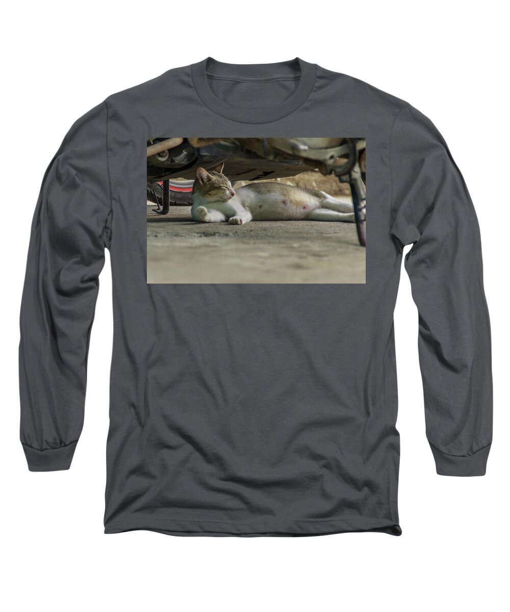 Beautiful Long Sleeve T-Shirt featuring the photograph A Beautiful Female Cat by Mangge Totok