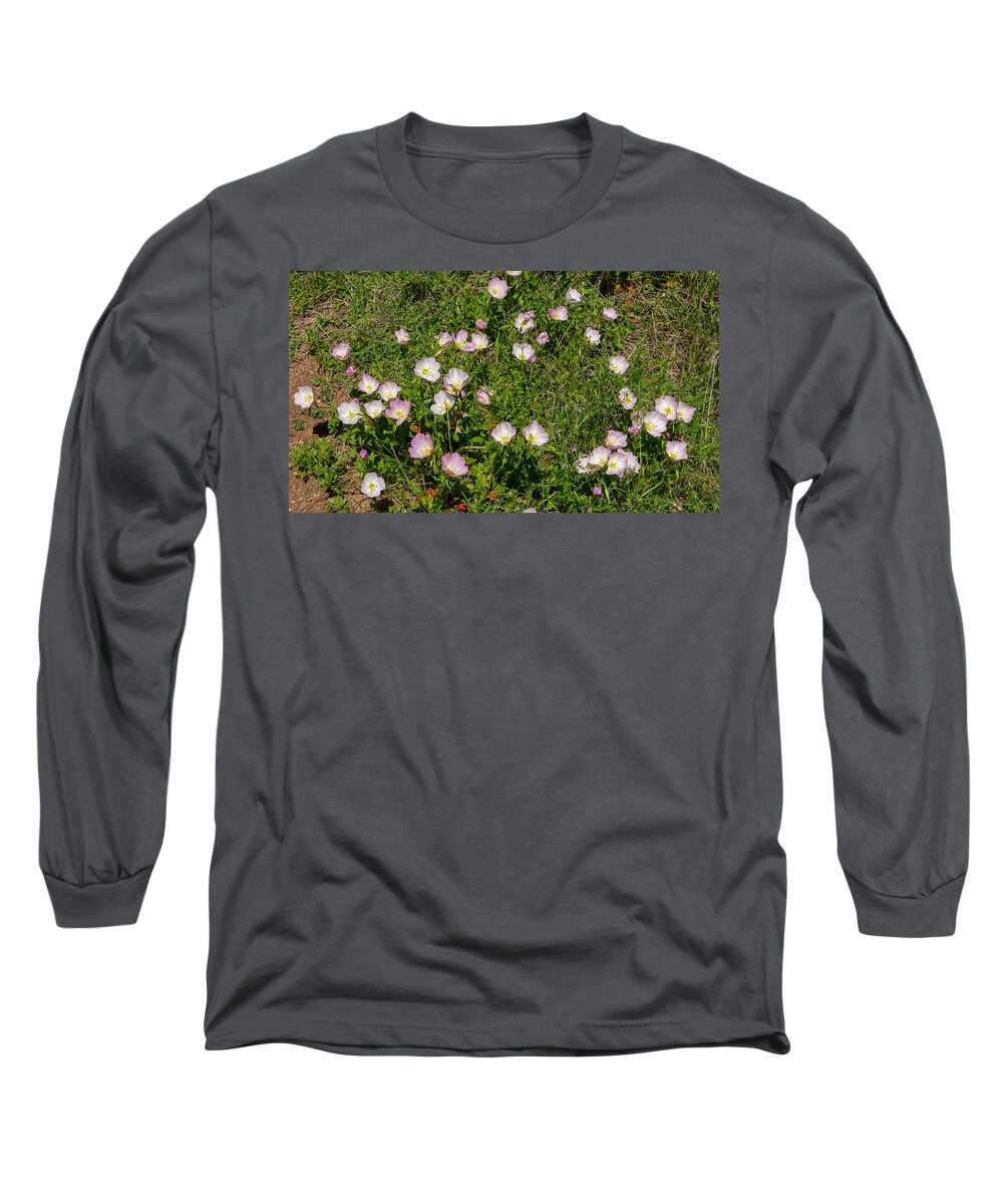 Flower Long Sleeve T-Shirt featuring the photograph A Little Gathering of Color by Ivars Vilums
