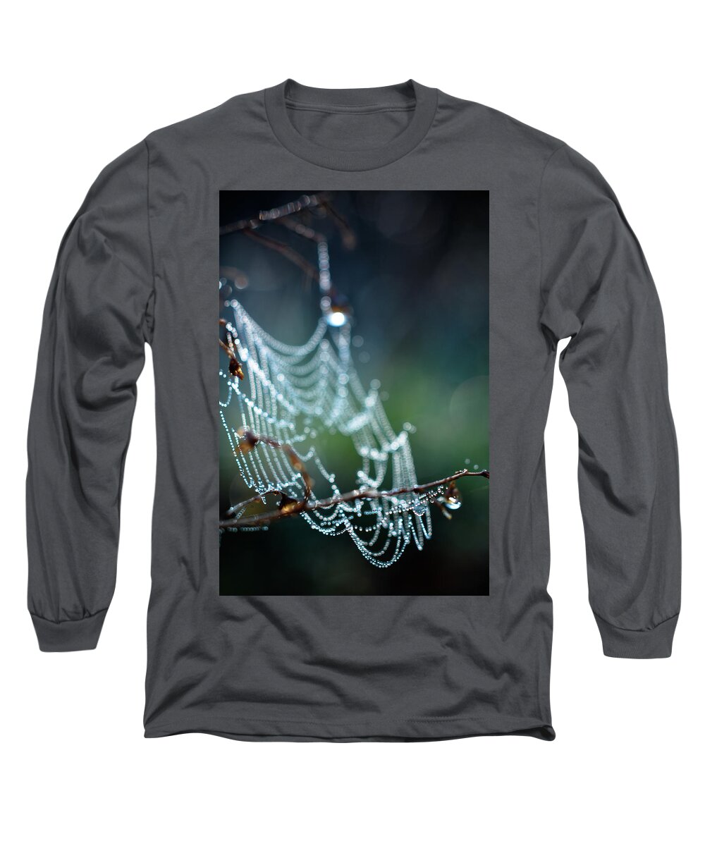 Cobweb Photo Long Sleeve T-Shirt featuring the photograph After by Michelle Wermuth