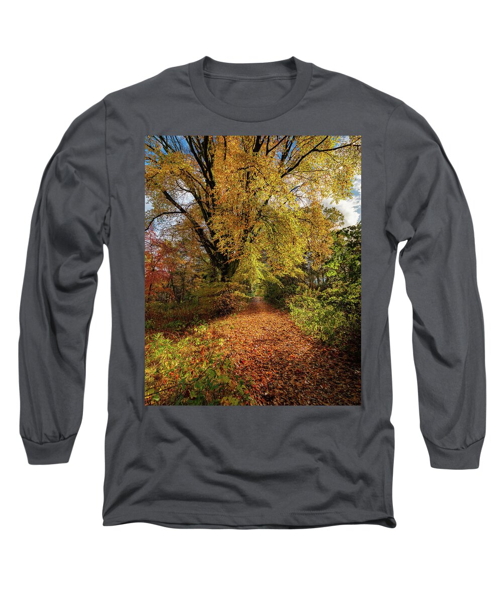 Adam West Long Sleeve T-Shirt featuring the photograph After The Rain by Adam West
