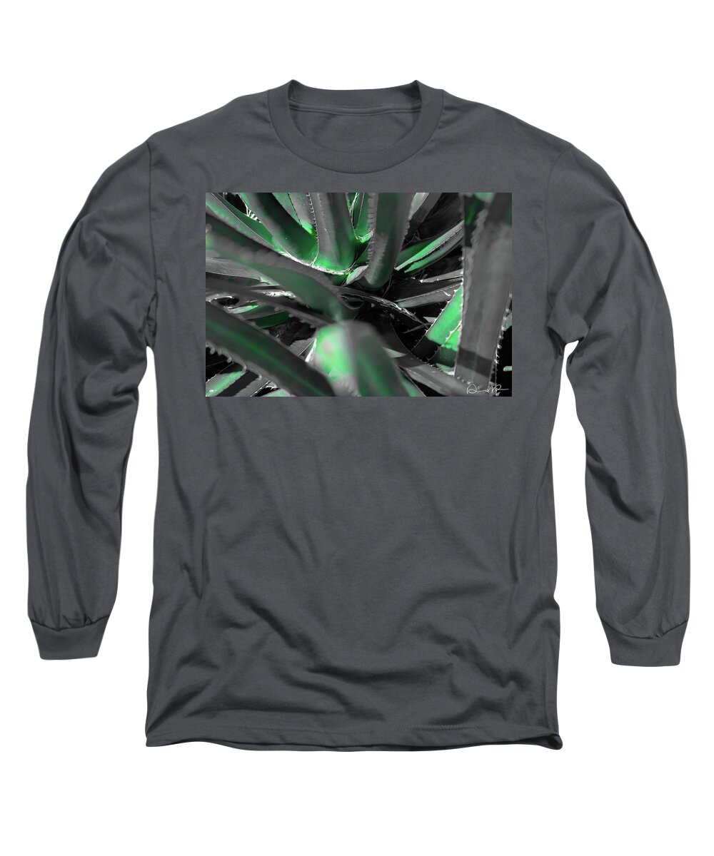 Agave Lechuguilla Long Sleeve T-Shirt featuring the photograph Agave Lechuguilla Color by Dennis Dempsie