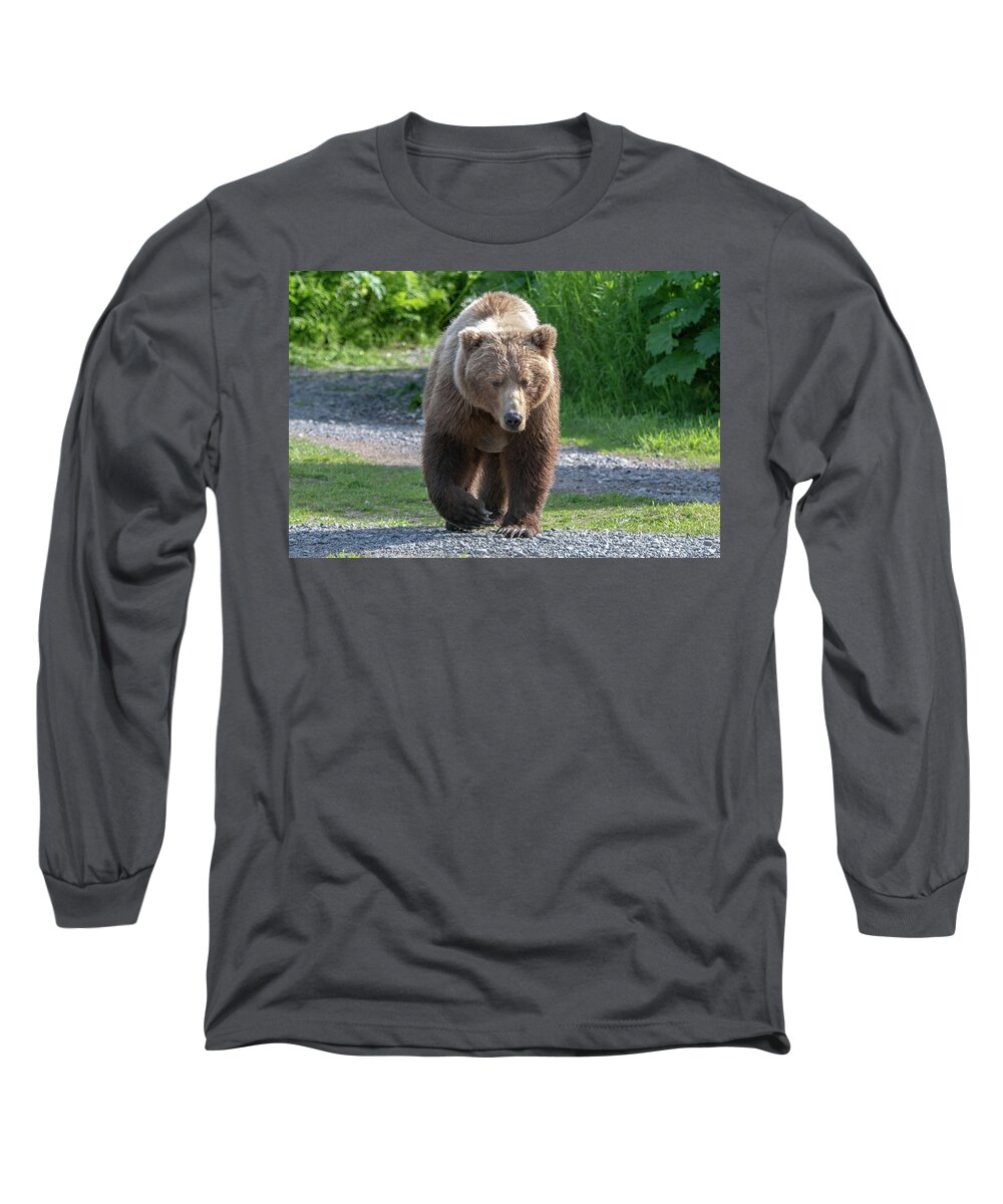 Bear Long Sleeve T-Shirt featuring the photograph Alaskan Brown Bear walking towards you by Mark Hunter