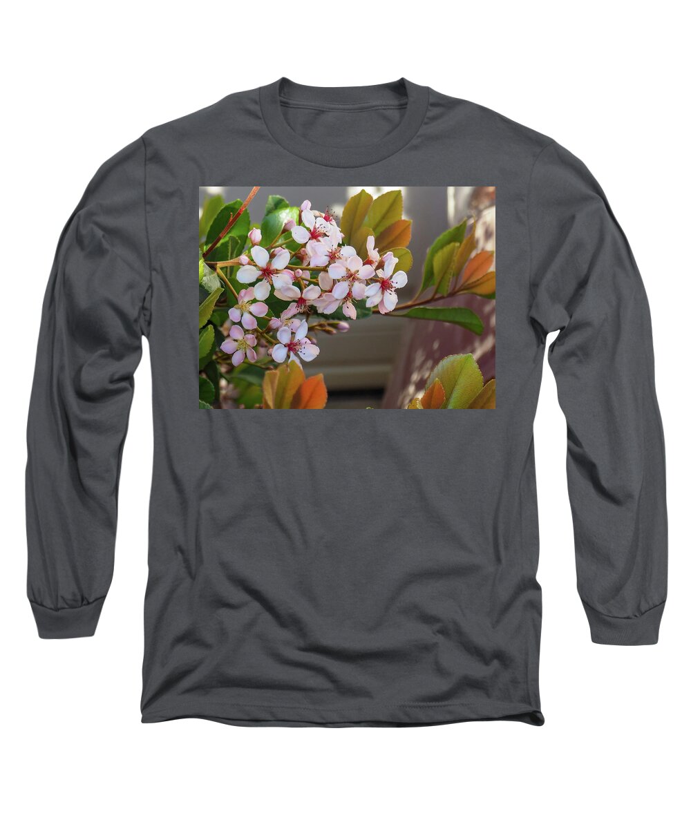 Flower Long Sleeve T-Shirt featuring the photograph Another Bloom 4 by C Winslow Shafer