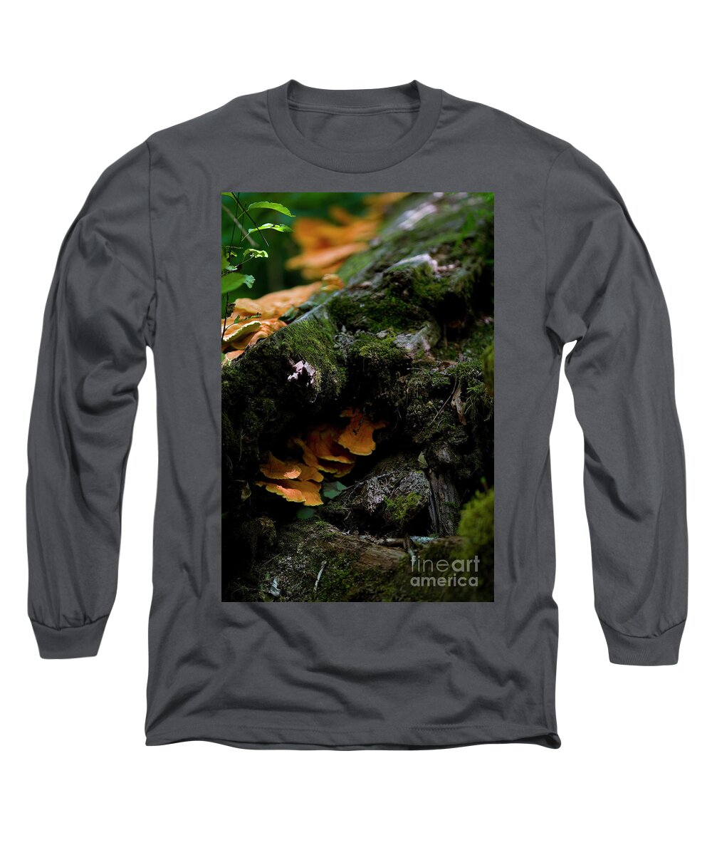Outsideshooter Long Sleeve T-Shirt featuring the photograph Face, Asleep in a Log by Rich Collins