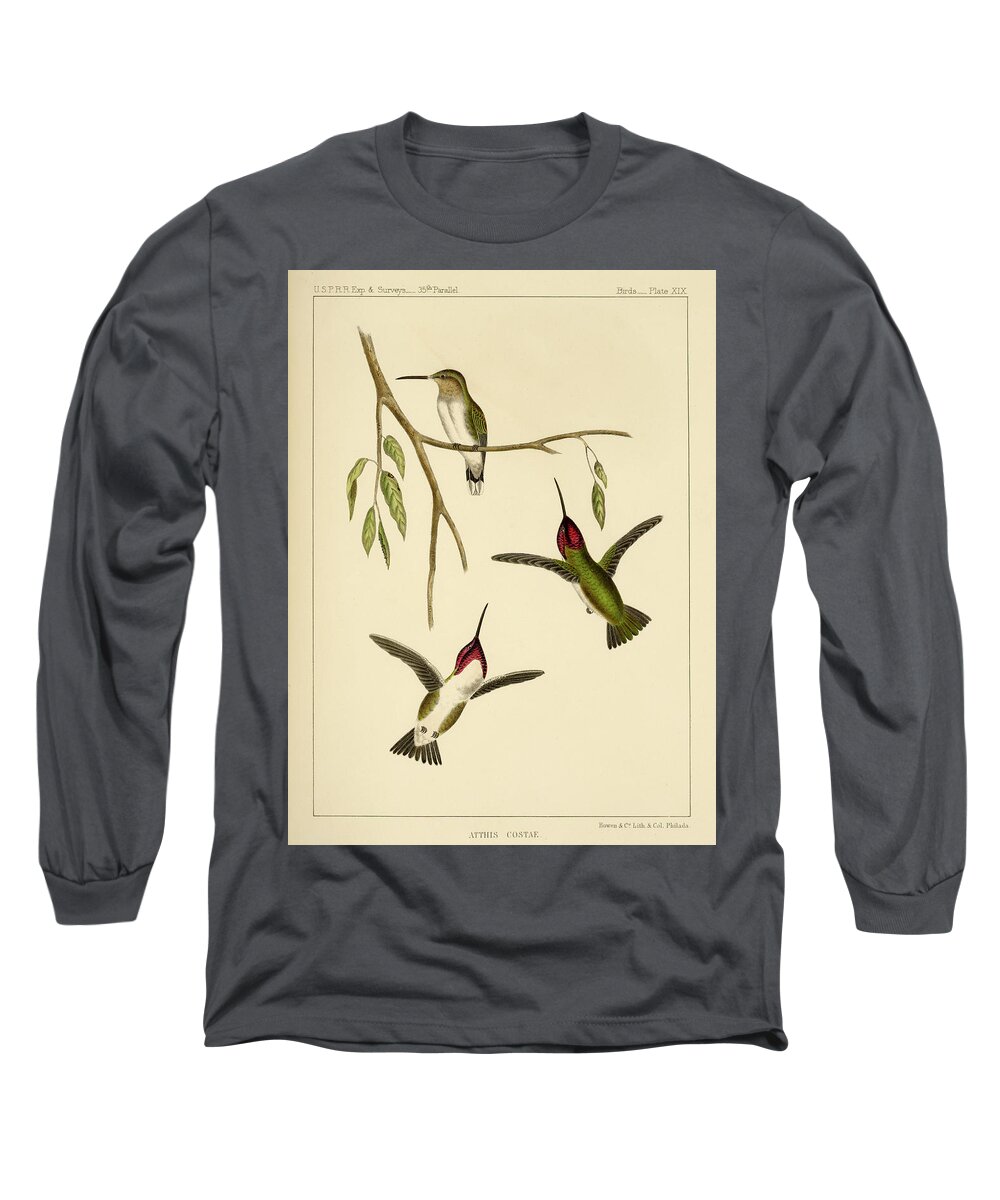 Birds Long Sleeve T-Shirt featuring the mixed media Atthis Costae by Bowen and Co lith and col Phila