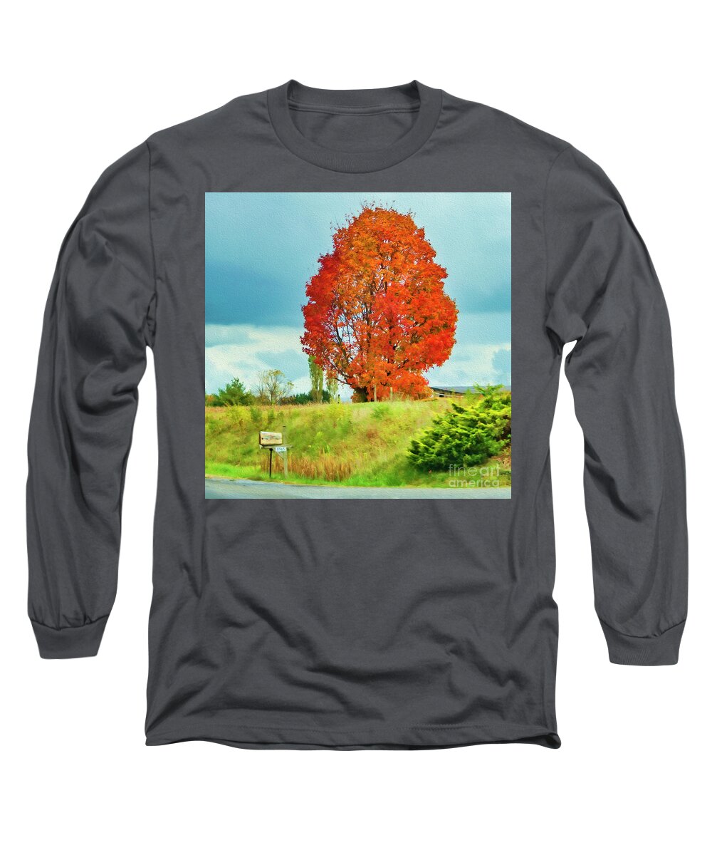 Virginia Long Sleeve T-Shirt featuring the photograph Autumn in Virginia by Lenore Locken