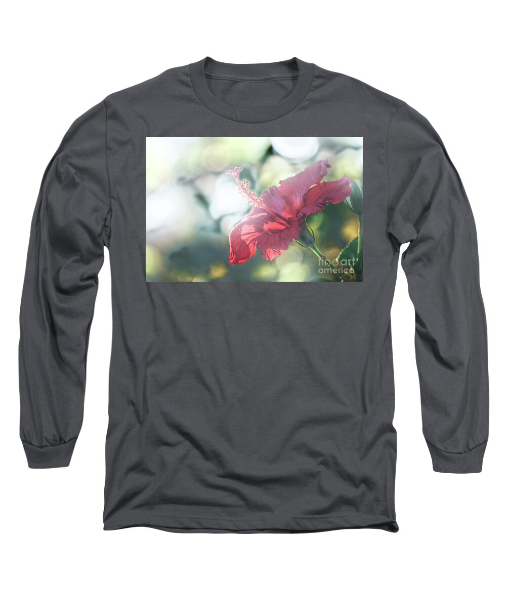 Flower Long Sleeve T-Shirt featuring the photograph Backlit Stamin by Darcy Dietrich