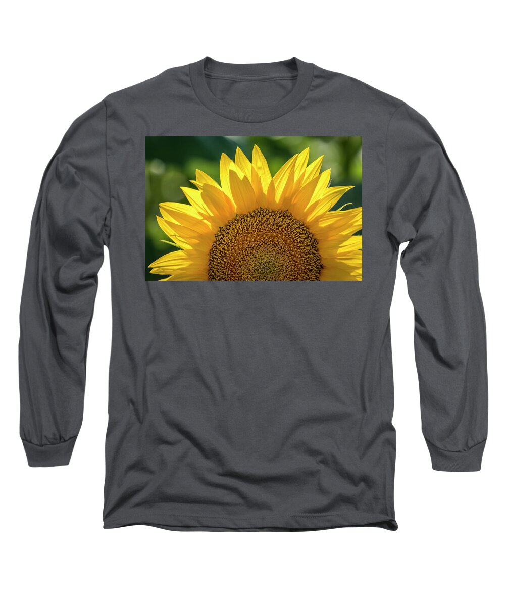 Colorado Long Sleeve T-Shirt featuring the photograph Backlit Sunflower Bloom by Teri Virbickis