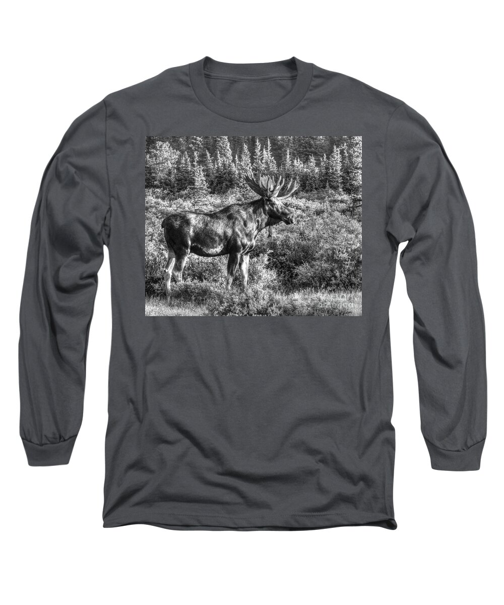 Moose Long Sleeve T-Shirt featuring the photograph Basking In The Sun B/W by Steven Parker