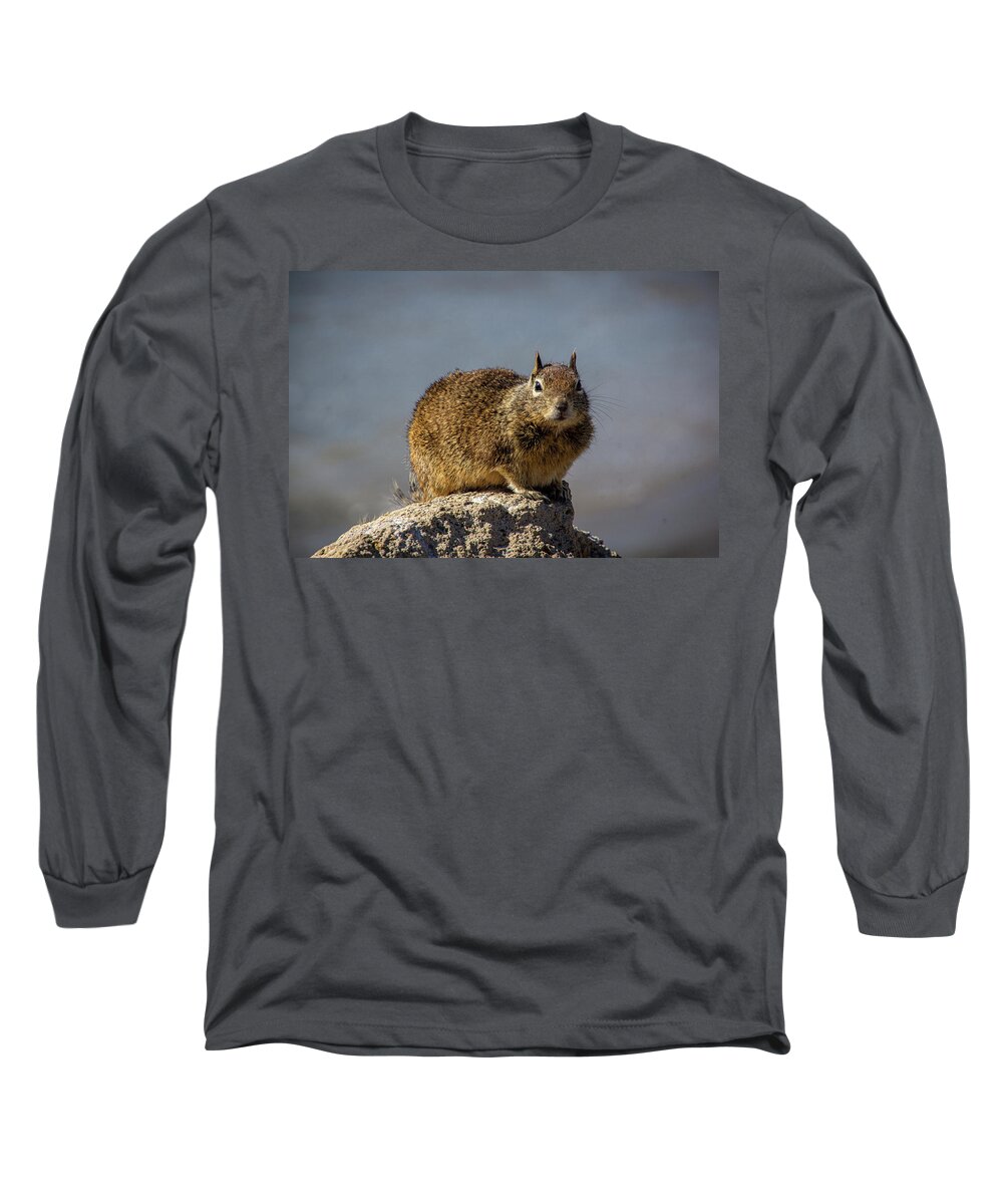 Beach Squirrel Long Sleeve T-Shirt featuring the photograph Beach Squirrel by Donald Pash