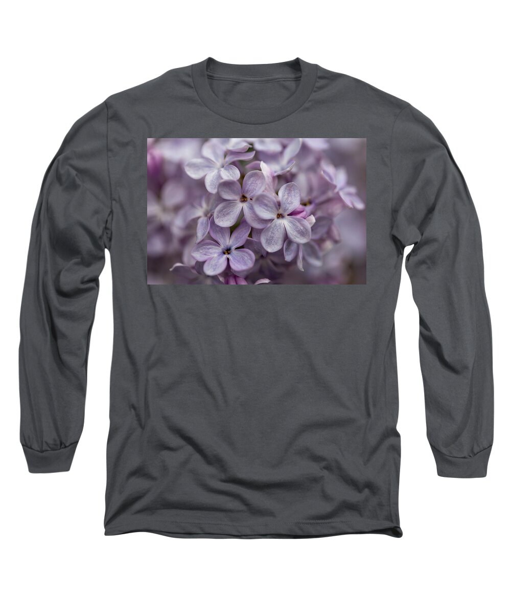 Lilac Long Sleeve T-Shirt featuring the photograph Beautiful Spring Lilac Blooms by Laura Smith