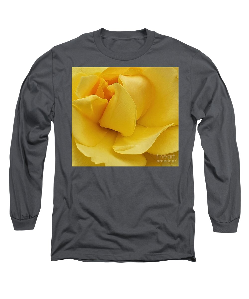 Rose Long Sleeve T-Shirt featuring the photograph Beautiful Yellow Rose by Chad and Stacey Hall