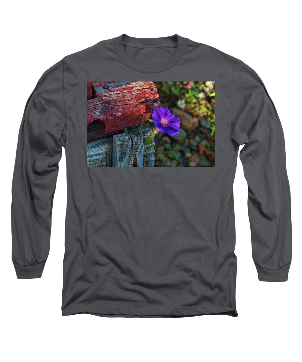Morning Glory Long Sleeve T-Shirt featuring the photograph Beautify by Alana Thrower