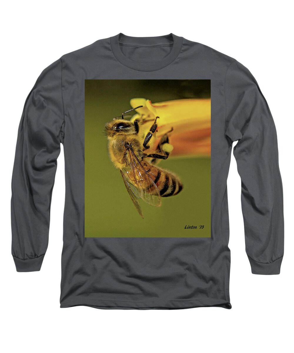 Bee Long Sleeve T-Shirt featuring the photograph European Honey Bee by Larry Linton