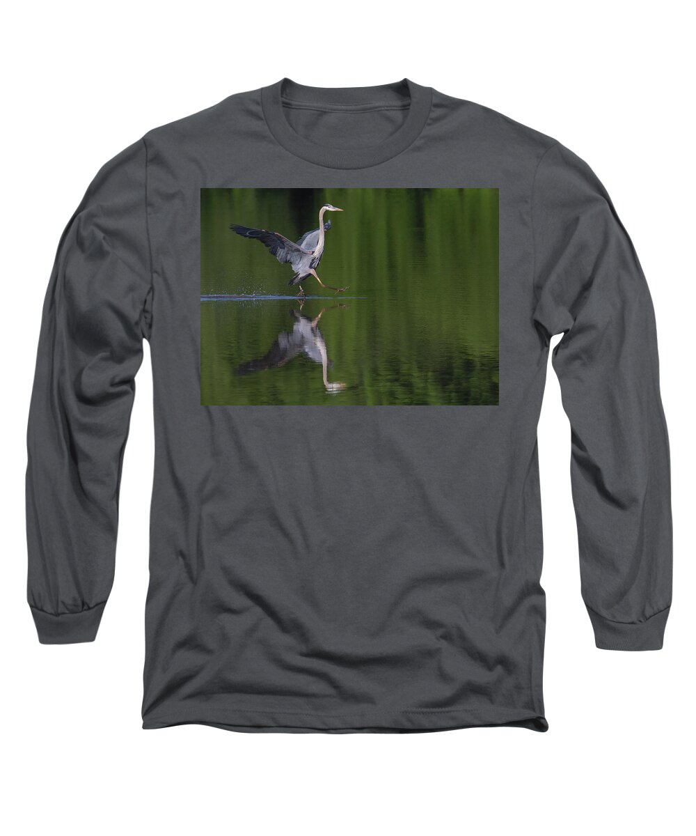 Great Blue Heron Long Sleeve T-Shirt featuring the photograph Beep Beep by Art Cole
