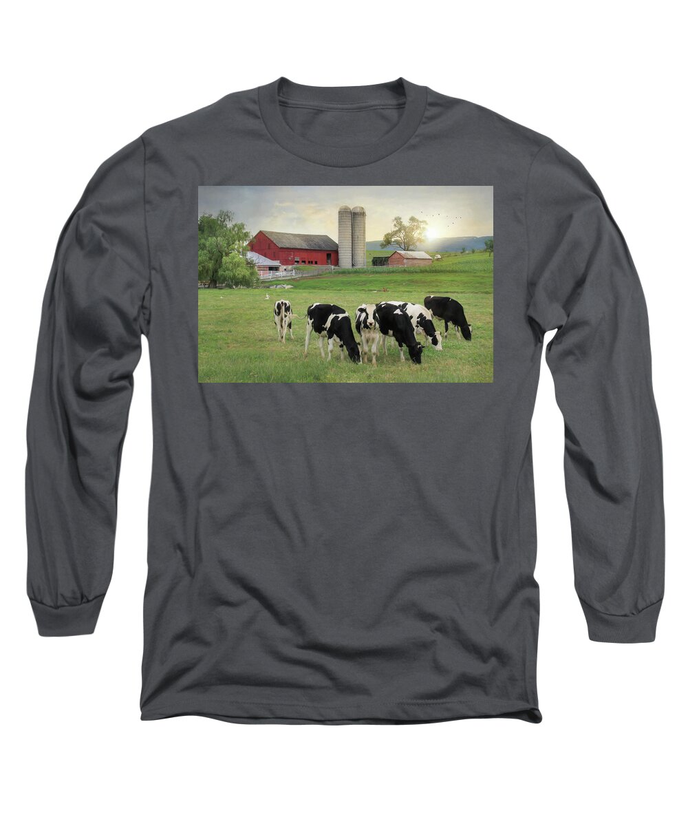 Farm Long Sleeve T-Shirt featuring the photograph Belleville Cows by Lori Deiter