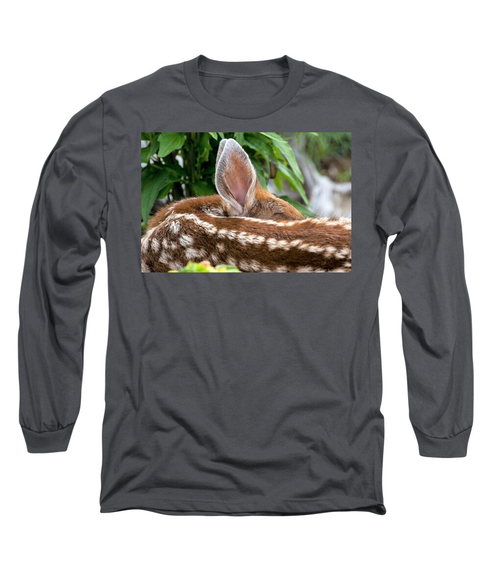 Sleeping Long Sleeve T-Shirt featuring the photograph Big ears by Michelle Pennell