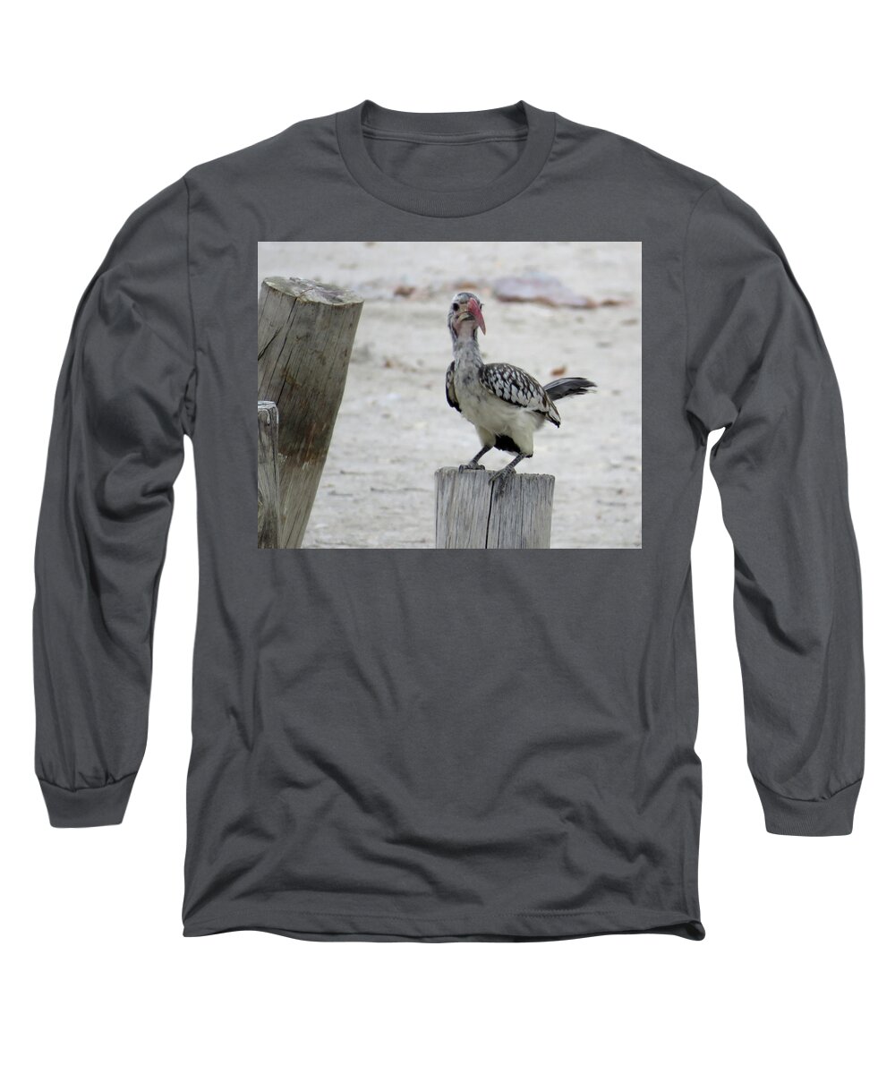 Bird Long Sleeve T-Shirt featuring the photograph Bird by Eric Pengelly