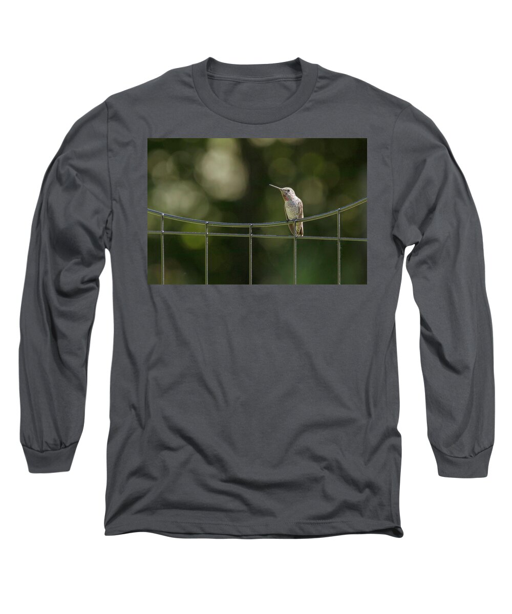 Anna's Long Sleeve T-Shirt featuring the photograph Bird on a Wire by Catherine Avilez