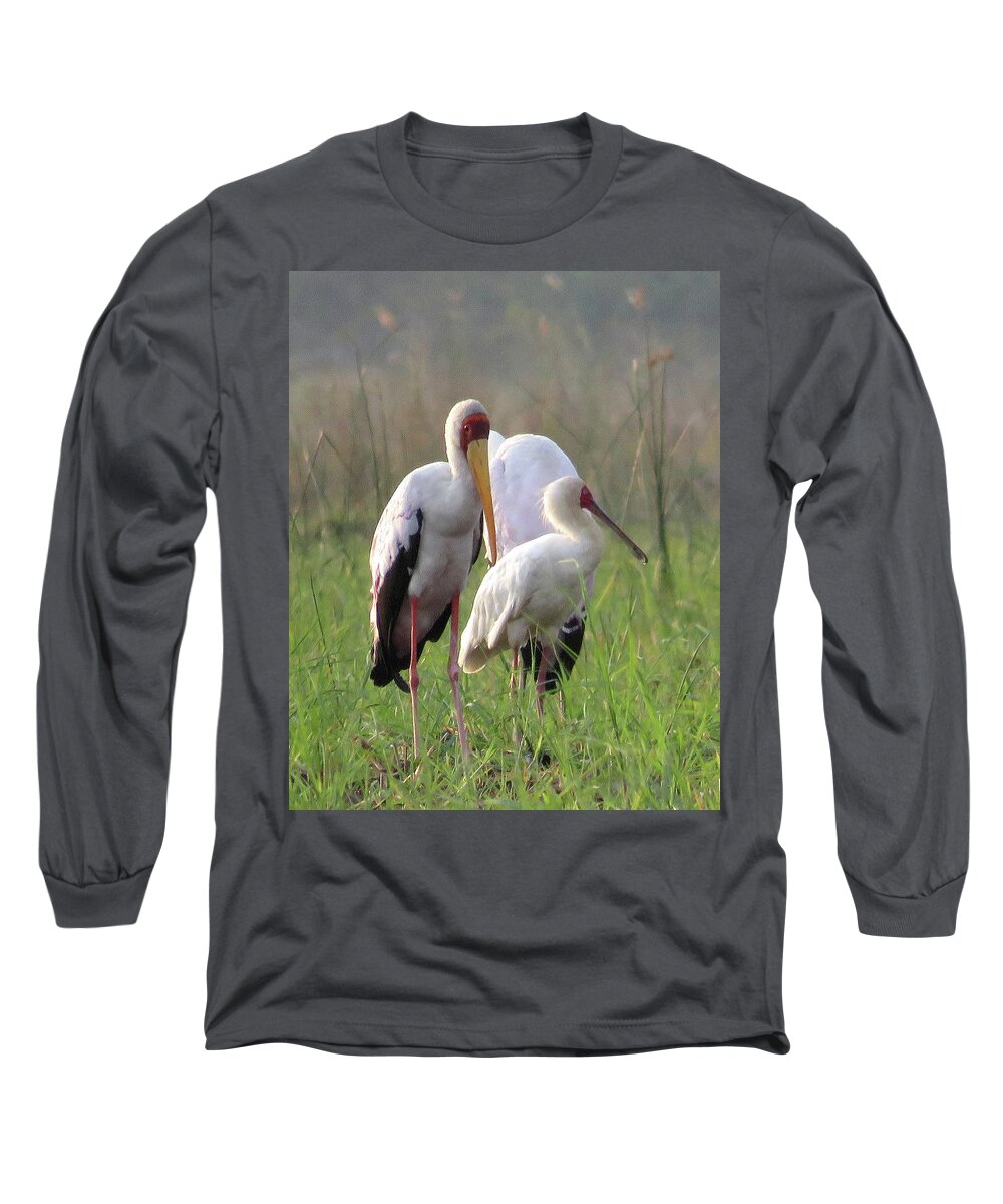 Africa Long Sleeve T-Shirt featuring the photograph Birds by Eric Pengelly