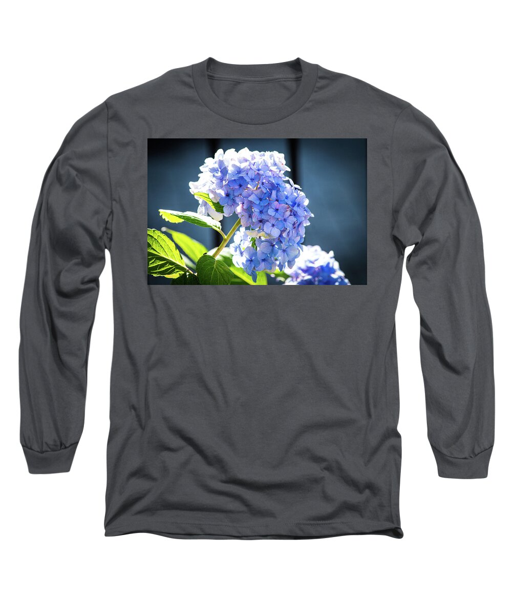 Blue Hydrangeas Long Sleeve T-Shirt featuring the photograph Blue Hydrangea Vignette by Mary Ann Artz