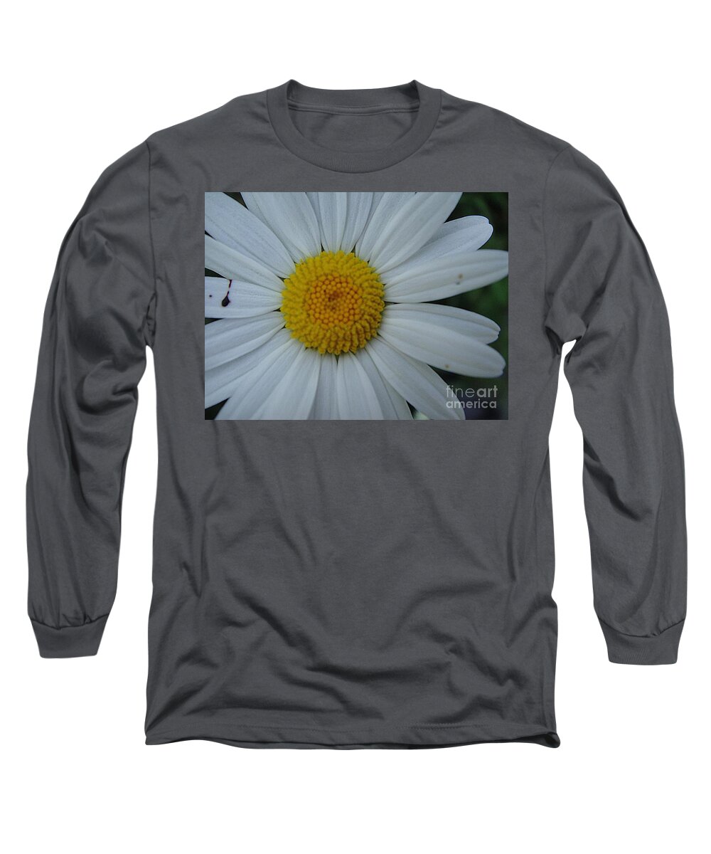 Flower Long Sleeve T-Shirt featuring the photograph Bright flower by Karin Ravasio