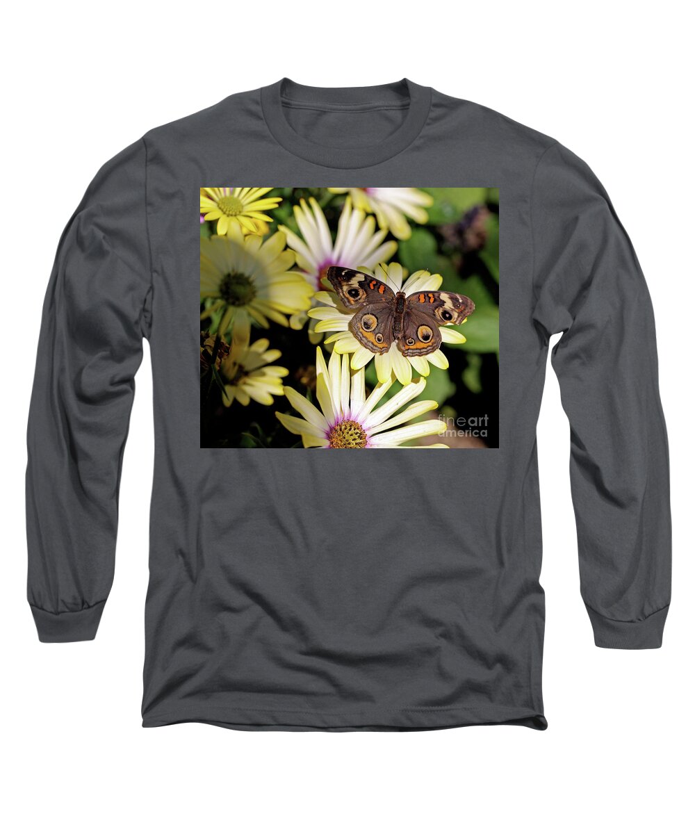 Buckeye Butterfly Long Sleeve T-Shirt featuring the photograph Buckeye Butterfly by Terri Brewster